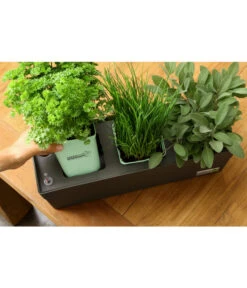 GREENBAR® Ersatzvlies, 3er-Pack -Gartenbedarf Kollektion 20150713 338 greenbar steps 4 studio herzig