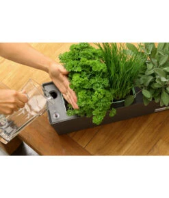 GREENBAR® Ersatzvlies, 3er-Pack -Gartenbedarf Kollektion 20150713 347 greenbar steps 5 studio herzig