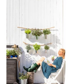 Dehner Gourmet Garten Zitronenmelisse -Gartenbedarf Kollektion 20181011 PR MO 003 Kraeuter 01