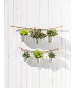 Ausgewählte Produkte -Gartenbedarf Kollektion 20181011 PR MO 003 Kraeuter 04 1