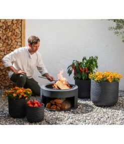 Goldmarie, Orange -Gartenbedarf Kollektion 20210610 8810020 8832966 WE MO 001 BidensOrangeT12 GC09 2022 02