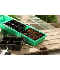 Dehner Zimmergewächshaus Frans, 54 X 15 X 12 Cm -Gartenbedarf Kollektion 207456 BildM 001 RombergZimmergewaechshausFransFensterbGewH54X15x12