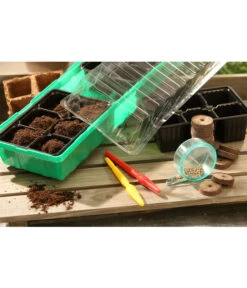 Dehner Zimmergewächshaus Frans, 54 X 15 X 12 Cm -Gartenbedarf Kollektion 207456 BildM 002 RombergZimmergewaechshausFransFensterbGewH54X15x12