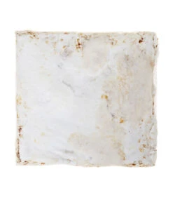 Pilzmännchen Bio Pilzzuchtset Austernpilz 5 Pilzmännchen Bio Pilzzuchtset Austernpilz -Gartenbedarf Kollektion 3940285 BildD 002 PilzmaennchenBioHomePilzzuchtsetAusternpilzPilzbrutAusternpilzSet