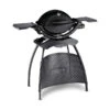 Weber Gasgrill Q 1200 Mit Stand, Ca. B104/H120/T60 Cm