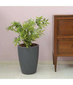 Farmet Kunststoff-Topf-Set Hydra, Konisch, Anthrazit, 2-teilig -Gartenbedarf Kollektion 4183653 WE DE 002 HYDRARunderPflanzkuebelDurchmesser36cm50cmhochDUNKELANTHRAZIT