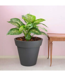 Farmet Kunststoff-Topf-Set Pegasus, Konisch, Anthrazit, 2-teilig -Gartenbedarf Kollektion 4185690 WE DE 002 PEGASUSKonischerPflanzkuebelDurchmesser50cm46cmhochDUNKELANTHRAZIT