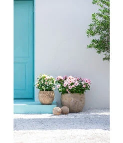 Dehner Terrakotta-Topf Imperia, Rund, Antik-terrakotta -Gartenbedarf Kollektion 4272639 4272670 WE MO 003 DehnerTerrakottaTopf