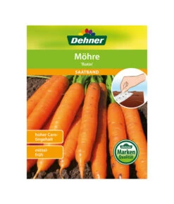 Dehner Samen-Set Easy Going -Gartenbedarf Kollektion 4322590 WE FS 004 DehnerSamenSaatgutSaemereienSetEasyGoing