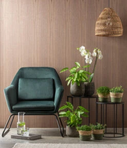 Dehner Seegras-Korb Phil, Rund 10 Dehner Seegras-Korb Phil, Rund -Gartenbedarf Kollektion 4448270 WE MO 001 TopfEliasCremeKorbGruen 6735229 6914725