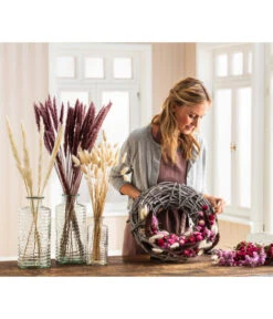 Trockenblumenbund Pampasgras 5 Trockenblumenbund Pampasgras -Gartenbedarf Kollektion 6272587 WE MO 001 PampasgrasMauve Hasenschwanzgras