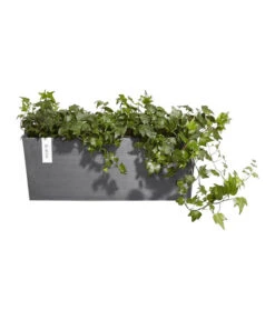 Ecopots Kunststoff-Kasten Bruges Hängend, Rechteckig, Grau, Ca. B55/H21/T20 Cm -Gartenbedarf Kollektion 6614416 WE FS 003 EcopotsKunststoffKastenBrugeshaengendrechteckiggrau