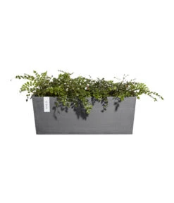 Ecopots Kunststoff-Kasten Bruges Hängend, Rechteckig, Grau, Ca. B55/H21/T20 Cm -Gartenbedarf Kollektion 6614416 WE FS 004 EcopotsKunststoffKastenBrugeshaengendrechteckiggrau