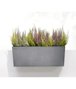 Ecopots Kunststoff-Kasten Bruges Hängend, Rechteckig, Grau, Ca. B55/H21/T20 Cm -Gartenbedarf Kollektion 6614416 WE MO 001 EcopotsKunststoffKastenBrugeshaengendrechteckiggrau