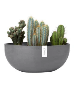 Ecopots Kunststoff-Schale Sofia Mit Wassersystem, Oval, Grau, Ca. B43/H17,5/T25 Cm -Gartenbedarf Kollektion 6614713 WE FS 003 EcopotsKunststoffSchaleSofiabreitovalgrau