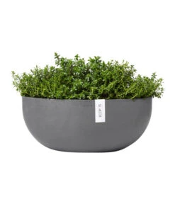Ecopots Kunststoff-Schale Sofia Mit Wassersystem, Oval, Grau, Ca. B43/H17,5/T25 Cm -Gartenbedarf Kollektion 6614713 WE FS 004 EcopotsKunststoffSchaleSofiabreitovalgrau