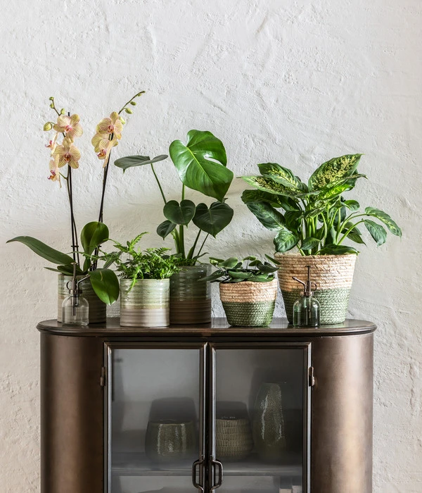 Dehner Seegras-Korb Phil, Rund 2 Dehner Seegras-Korb Phil, Rund – Bild 2