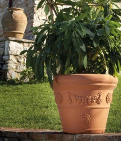 Farmet New Kunststoff-Topf Festonato, Rund, Terrakotta, Inkl. Untersetzer -Gartenbedarf Kollektion 6965198 WE MO 001 FarmetNewKunststoffBlumentopfFestonatorundterrakotta