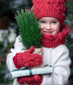 Scheinzypresse 'Snow White' -Gartenbedarf Kollektion 7109762 WE MO 001 ScheinzypresseSnowWhite