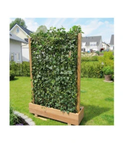 Hecke Am Laufenden Meter® 'Woerneri' - Efeu, Ca. 100 Cm -Gartenbedarf Kollektion 7208309 BildM 004 HedereHelixWoerneriHeckeAmLaufendenMeterHelix