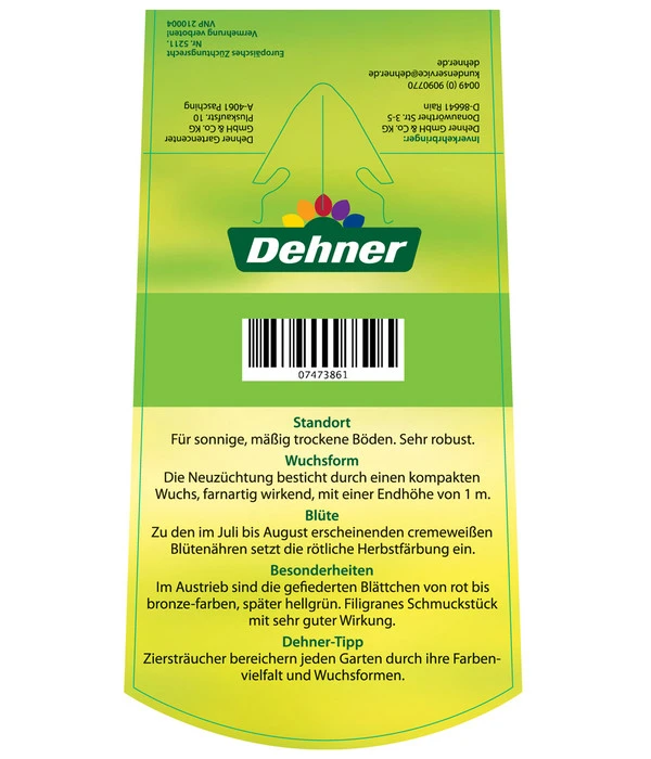 Fiederspiere 'Sem' 3 Fiederspiere 'Sem' – Bild 3