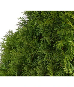 3 Meter Lebensbaum 'Smaragd', 6 X Ca. 125-150 Cm -Gartenbedarf Kollektion 7513534 WE DE 001 ThujaLebensbaumOccidentalisSmaragd20LDehnerExpressHerzig