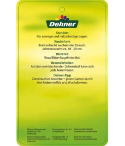 Duft-Schneeball 'Aurora' 5 Duft-Schneeball 'Aurora' -Gartenbedarf Kollektion 7534274 DuftschneeballAurora Etikett 02