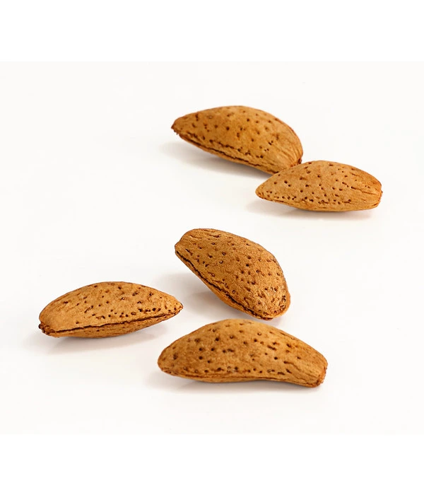 Mandelbaum 3 Mandelbaum – Bild 3