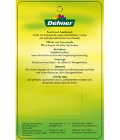 Zwetschge 'Jojo' -Gartenbedarf Kollektion 7692635 ZwetscheJojo Etikett 2