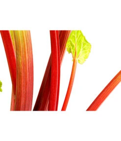 Dehner Gourmet Garten Himbeer-Rhabarber -Gartenbedarf Kollektion 7736028 PR DE 002 RhabarberHimbeere2LiterDehnerExpressHerzig