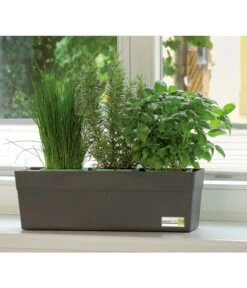 GREENBAR® Ersatzvlies, 3er-Pack -Gartenbedarf Kollektion 7750482 PR MO 001 GreenbarAnleitungIndoorSeidl