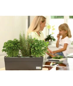 GREENBAR® Ersatzvlies, 3er-Pack -Gartenbedarf Kollektion 7750482 PR MO 003 GreenbarAnleitungIndoorSeidl