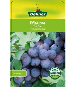 Dehner Pflaume 'The Czar' -Gartenbedarf Kollektion 7762842 PflaumeTheCzar Etikett 1