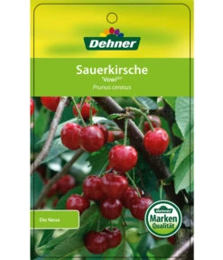 Sauerkirsche 'Vowi' -Gartenbedarf Kollektion 7773757 SauerkirscheVowi Etikett 1