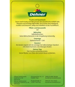 Sauerkirsche 'Vowi' -Gartenbedarf Kollektion 7773757 SauerkirscheVowi Etikett 2