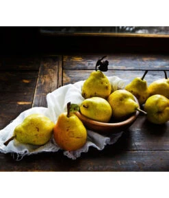 Sommerbirne 'Williams Christ' -Gartenbedarf Kollektion 7780539 WE MO 001 PyrusBirneWilliamsChrist