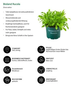 Ausgewählte Produkte -Gartenbedarf Kollektion 8002222 WE IG 001 BiolandRucola