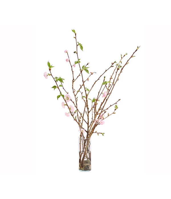 Japanische Kirschzweige, Ca. 80-100 Cm 3 Japanische Kirschzweige, Ca. 80-100 Cm – Bild 3