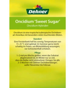 Oncidium - Oncidium Cultivars 'Sweet Sugar' -Gartenbedarf Kollektion 8249708 8251662 Oncidium Sweet Sugar Etikett 2