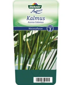 Dehner Kalmus 9 Dehner Kalmus -Gartenbedarf Kollektion 8310104 KalmusAcorusCalamus Etikett 1