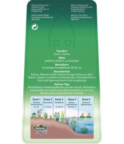 Dehner Kalmus 10 Dehner Kalmus -Gartenbedarf Kollektion 8310104 KalmusAcorusCalamus Etikett 2