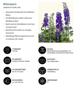 Rittersporn, Verschiedene Farben 22 Rittersporn, Verschiedene Farben -Gartenbedarf Kollektion 8352692 WE IG 001 RitterspornBlau