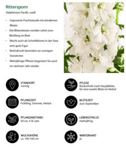 Rittersporn, Verschiedene Farben 25 Rittersporn, Verschiedene Farben -Gartenbedarf Kollektion 8352783 WE IG 001 RitterspornWeiss