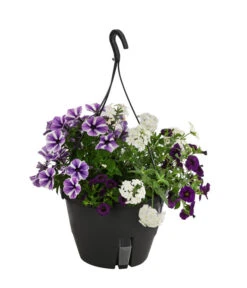 Blumenampel, Verschiedene Sorten -Gartenbedarf Kollektion 8602864 WE FS 003 KombiampelMixT27