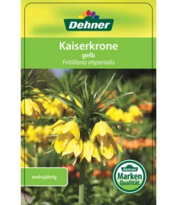 Kaiserkrone -Gartenbedarf Kollektion 8664674 KaiserkroneLutea Etikett 01