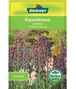 Persische Kaiserkrone 8 Persische Kaiserkrone -Gartenbedarf Kollektion 8664708 KaiserkroneSchwarz Etikett 1