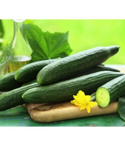 Ausgewählte Produkte 11 Schlangengurke