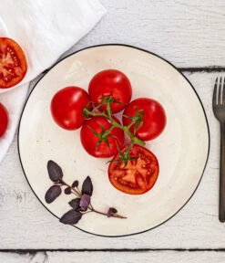 Bioland Buschtomate -Gartenbedarf Kollektion 8831968 WE MO 001 BiolandBuschtomate