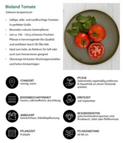 Bioland Tomate, Rundfruchtig -Gartenbedarf Kollektion 8842619 WE IG 001 BiolandTomate