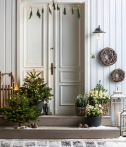 Dehner Kranz Weinrebe Frost, Ca. Ø48 Cm -Gartenbedarf Kollektion 8996100 8014870 8014557 8014722 8014847 WE MO 001 AbiesNordmannianaHolzkreuzWeihnachtsbaeume